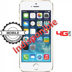 Apple iPhone 5S 32 Go