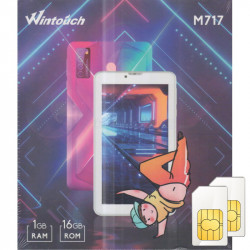 Wintouch M717