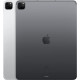 Apple iPad Pro 12.9 2021 256 Go